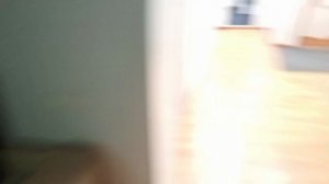 короче говоря купил свисток