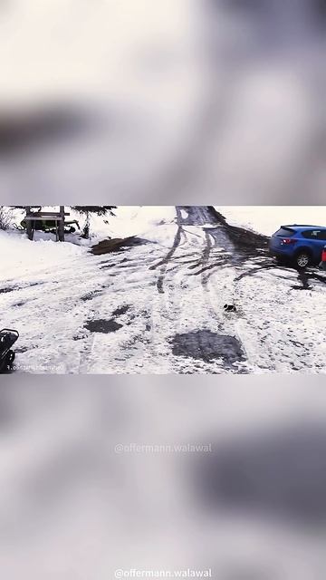 In helping,they show us hope.❤️_🩹🥺#animals #animallovers #shorts #fyp #love #help #hope #wildlife