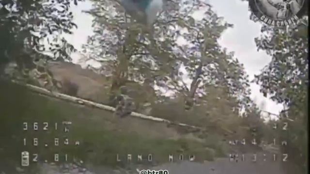 Лети птичка, ищи сало!