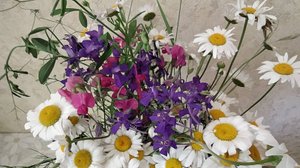 МГНОВЕНИЯ ПРОШЕДШЕГО ЛЕТА.