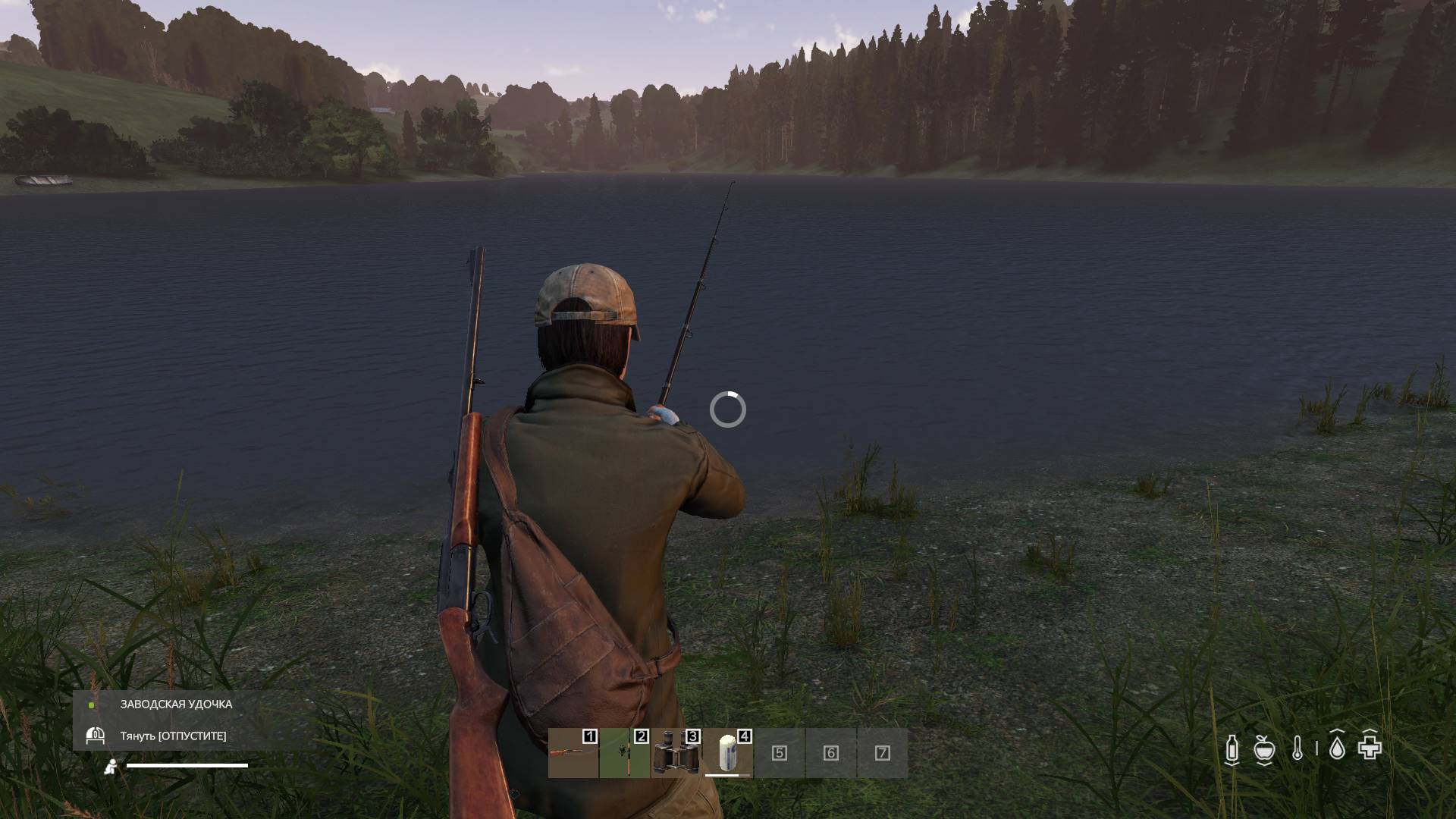 DAYZ.