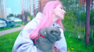 ВЫГУЛИВАЕМ КОШКУ | КОШКА НА УЛИЦЕ | БАТТЕРС УБЕЖАЛА !