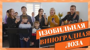 Изобильная виноградная лоза