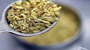 Луковый пирог с горчицей и фенхелем