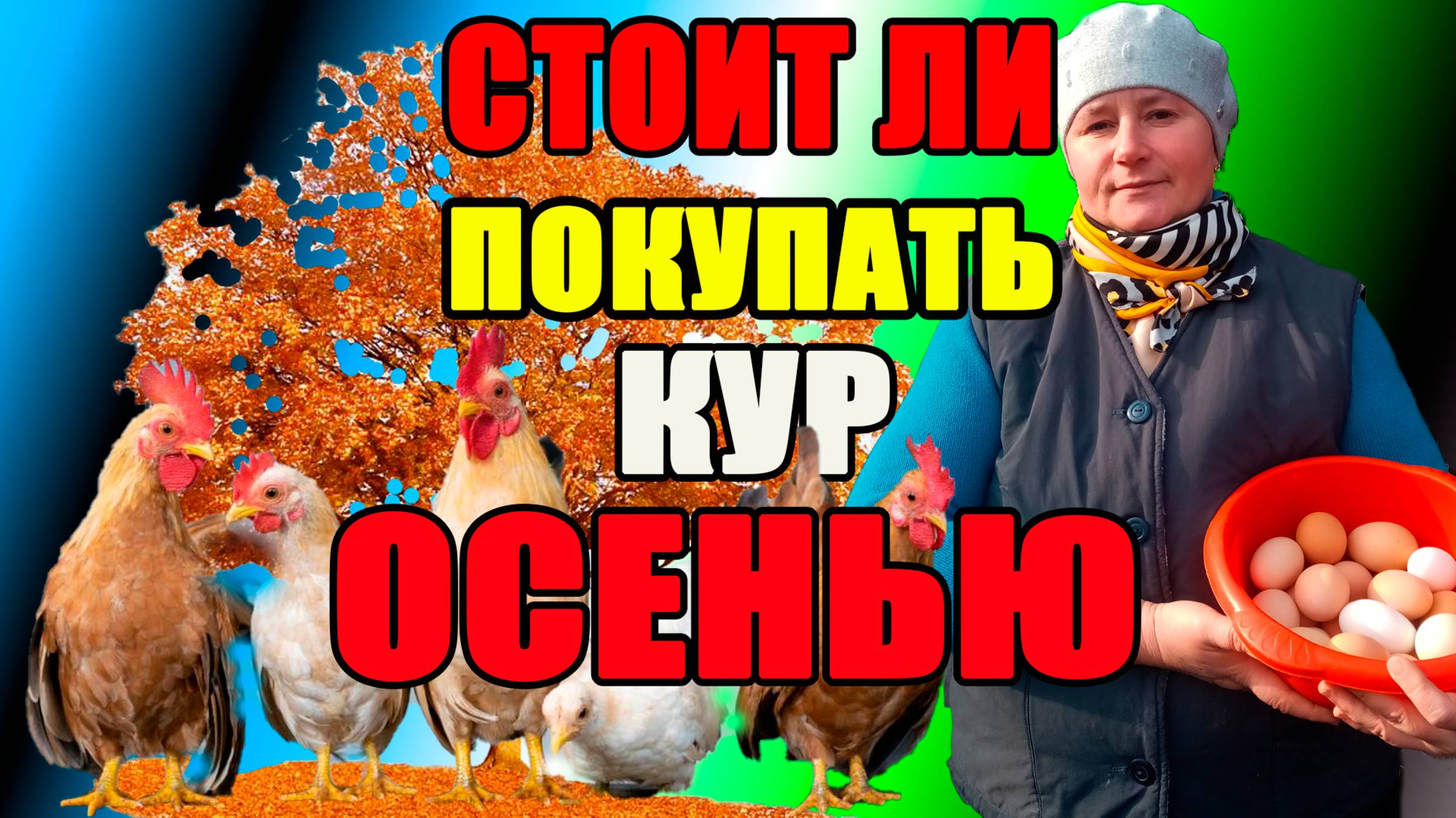 Стоит ли ПОКУПАТЬ кур ОСЕНЬЮ?.