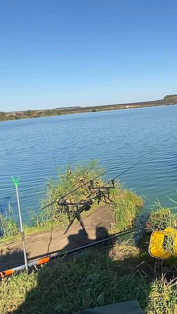 У рыбы есть уши #fishing #рыбалканафидер #carpfishing смотреть онлайн