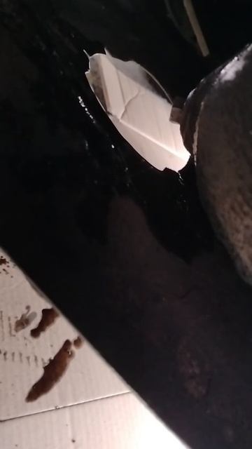 2025-10-03 в 17.17.47_0fb39c78