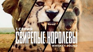 Свирепые королевы (1 серия) | Fierce Queens | Дубляж Whiskey Sound