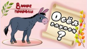 📗 "Осёл - глупец?" ~ СЛАЙДЫ | РАССКАЗ Христианский 🌼🟢 ~ АУДИОРАССКАЗ ~  В МИРЕ ПРИРОДЫ