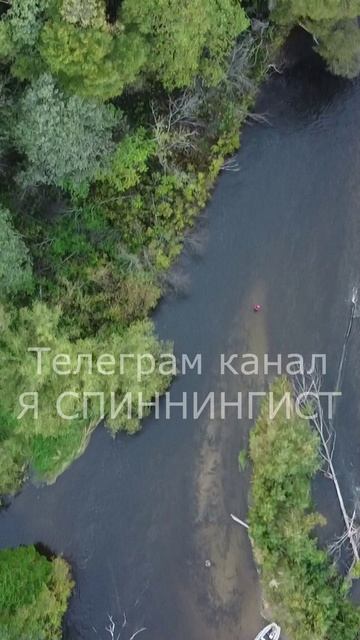 Тайга с высоты птичьего полёта смотреть онлайн