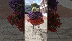 Ночная смена
Автор Александр Райн