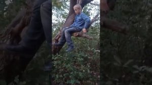 какими способами можно зализать на дерево 🌲🌲🌲 Гриша !!!!!!‼️‼️👍👍