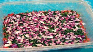 Красная рыба под шубой салат