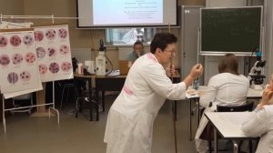 Откуда берётся вечная усталость?