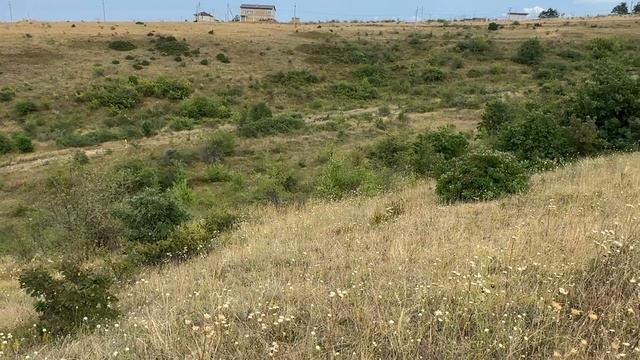 Участок ИЖС 8.03 сотки, Украинка, ул. Овражная 25