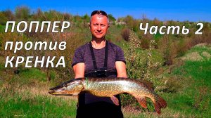 🔥 ПОППЕР или КРЕНК (часть 2)? Битва легендарных воблеров и просто шикарная рыбалка на щуку! 🔥