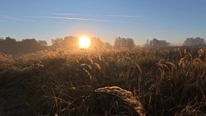 Осенний поход по реке Анграпа, Калининградская область. Часть 2
