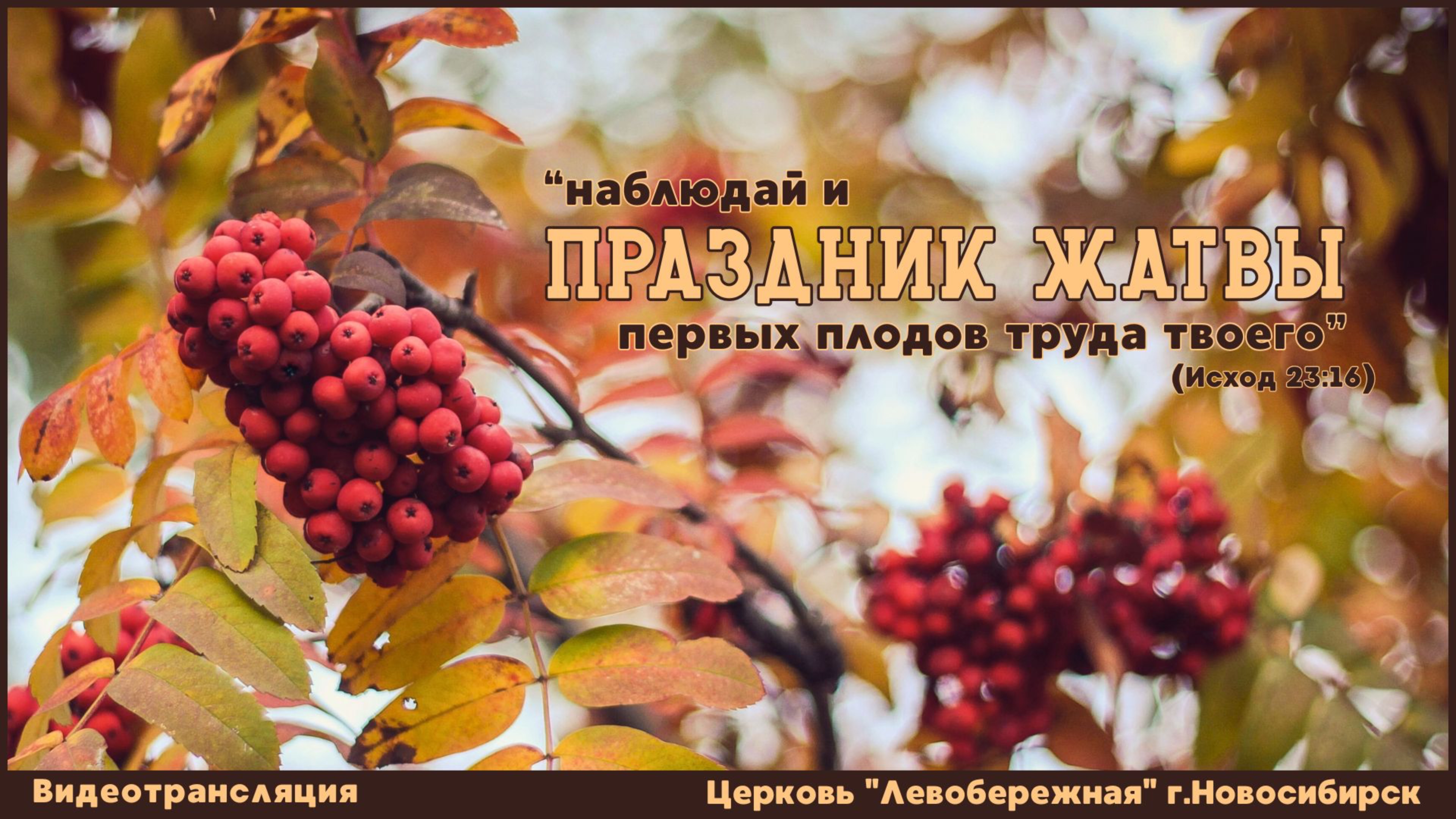 Праздник Жатвы || 5 октября 2025г. смотреть онлайн