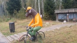 Лось съездил в магазин и приоделся.