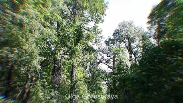 #летнеепутешествие
