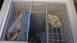 Обзор на небольшой морозильный ларь!