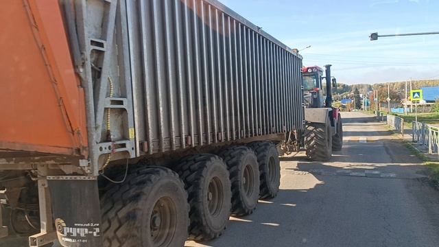 1000186607.mp4 смотреть онлайн