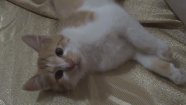 Lucky. Музыка для настроения смотреть онлайн