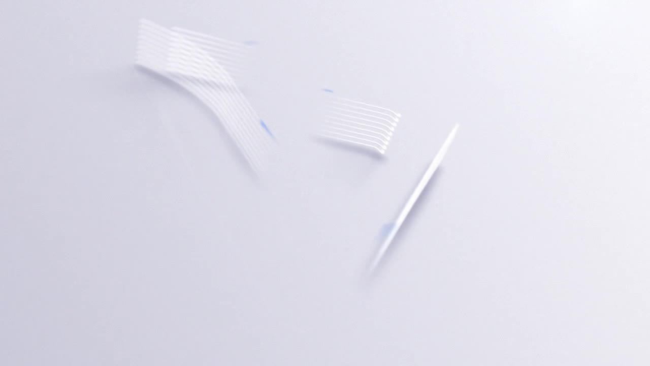 Светлогорск I Калининградская область