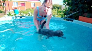 КОШЕЧКА БАТТЕРС ВПЕРВЫЕ ПЛАВАЕТ В БАССЕЙНЕ | Кот Баттерс