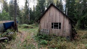 В ТАЙГУ НА ОТДЫХ ОТ ЛЮДЕЙ! ОХОТА С РУССКОЙ ГОНЧЕЙ!