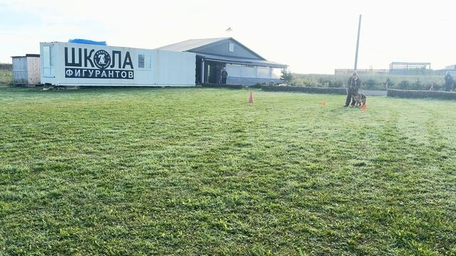 2.  выражено/пож ЗАВИСТЬ БОГОВ ФИДЖИ II (Asso di Casa Nobili – Зависть Богов Экхольм)