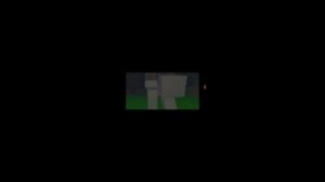 1000011453.mp4