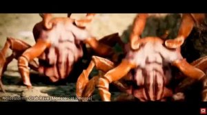 Animal's Skeletons for Kids