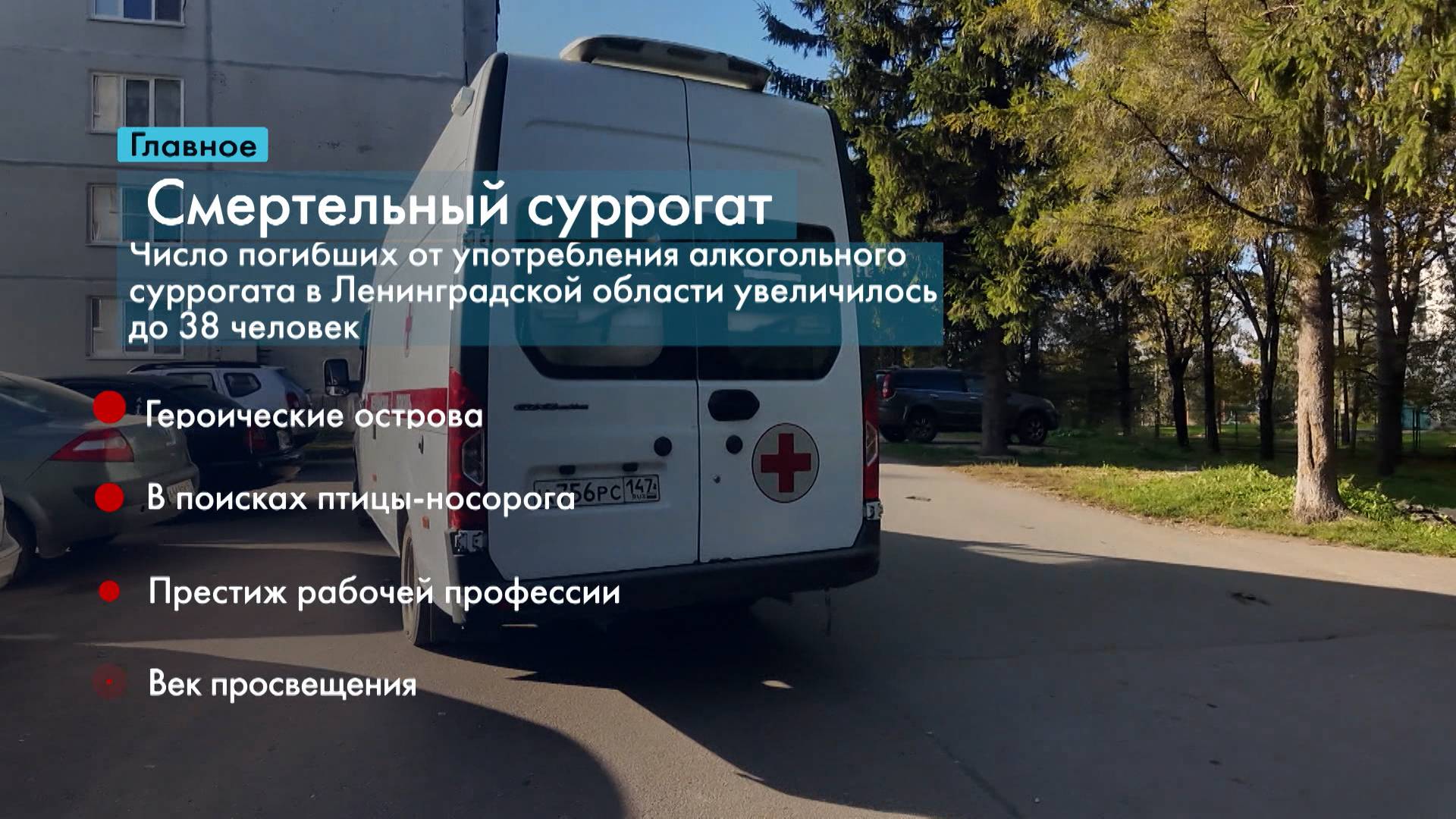 Главные новости Петербурга за неделю