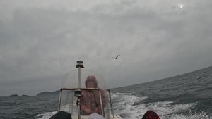 Дикие люди. Владивосток 2025. Трейлер