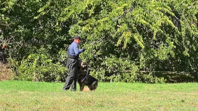 Баларис ЧЕЗЗА, 2 года. Шлифуем раздел защита!