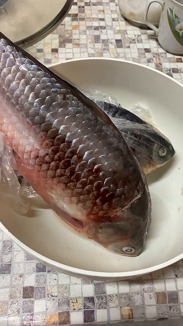 Настоящий отдых мужика!#рыбалка #carpfishing #природа смотреть онлайн