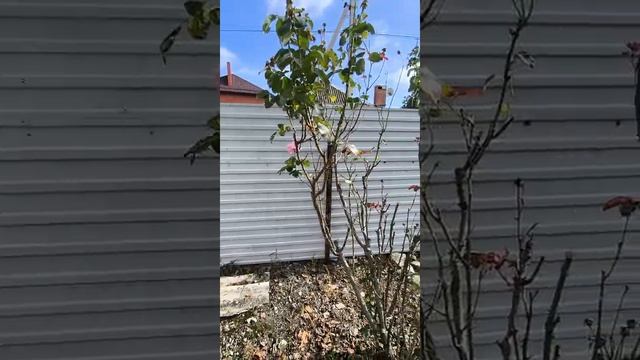 Крымск дом с участком. смотреть онлайн