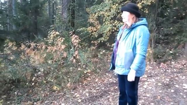 Сногсшибательная женщина - Автор и музыка Анечка Тартанова поёт Виктор Тартанов смотреть онлайн