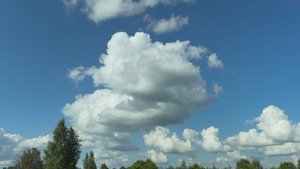 Джастер - ГУЛ 3 (2025)