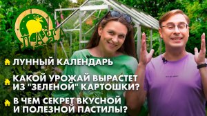 Полезные рецепты пастилы и зефира из яблок| Можно ли собирать "зеленый" картофель? Лунный календарь