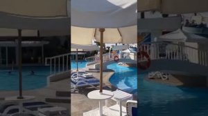 Жаба раздувает щеки. Морская звезда скользит. Робот разносит напитки. Ослепительный отель