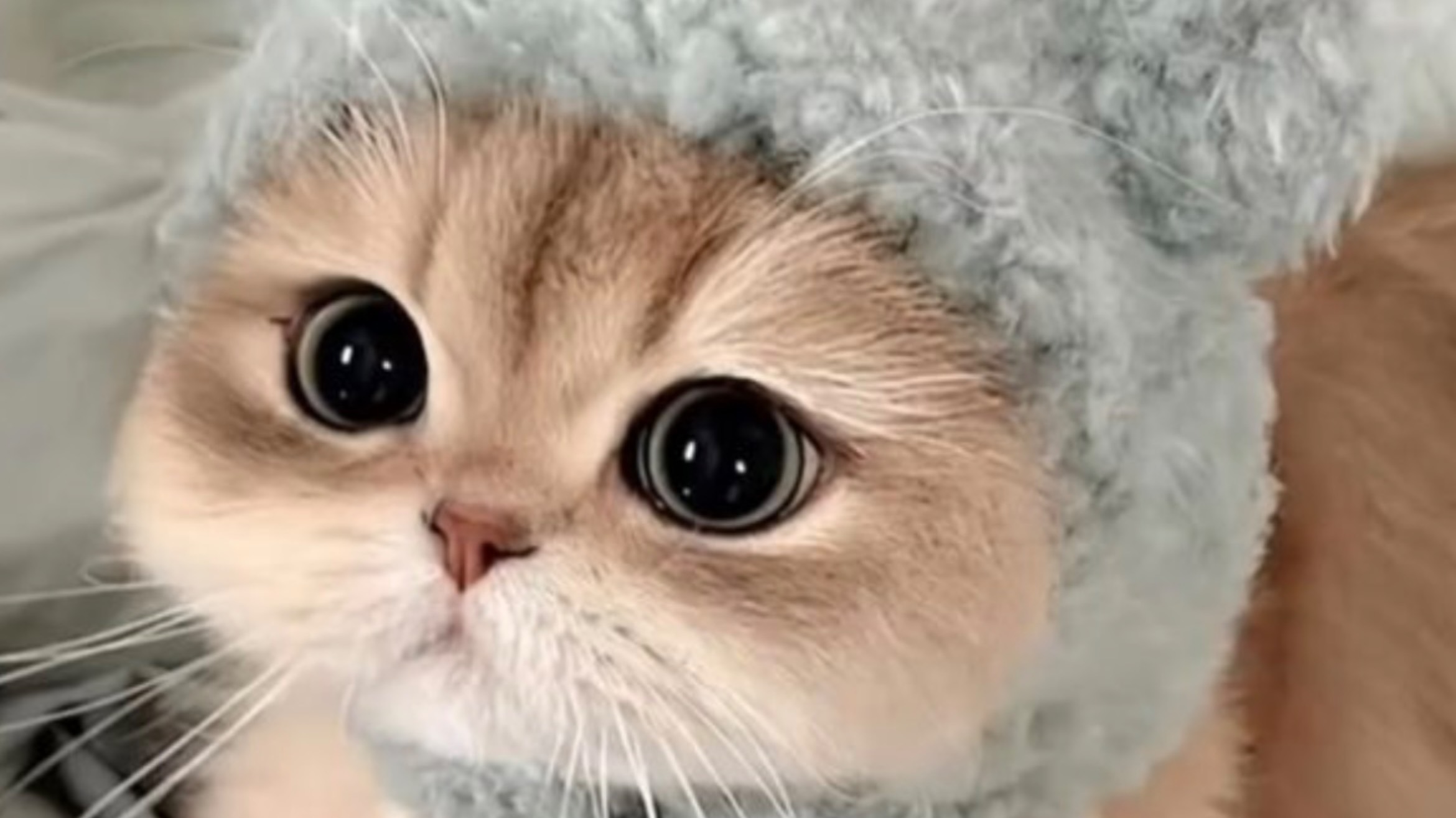 Ева пришла в тавер!!!!!!!!!!!!