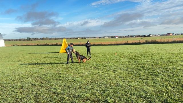 4.  выражено/пож ИРЕНДОРФ ВУДУ (Ian v. Kleinen Zauberberg – Зависть Богов Рейма)