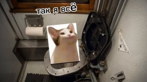 как я зимой ежу к бабушке