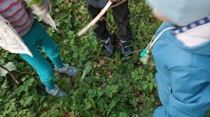 99 ночей в лесу в реальной жизни 2 часть.