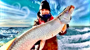 ЖЕСТЬ! ВЕТЕР, ВОЛНЫ И ТУРБО КЛЁВ ЩУКИ! РЫБАЛКА ОСЕНЬЮ В ХАНТАХ.