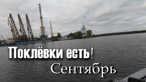 Джиг на морковках. Белый Городок, сентябрь.
