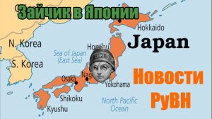 ZAVOD и "Антивселенная", Хризантема на английском, Зайчик попал в Японию Новости РуВН №19