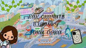 скачиваю взломку тока бока